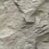 y6-1 beige